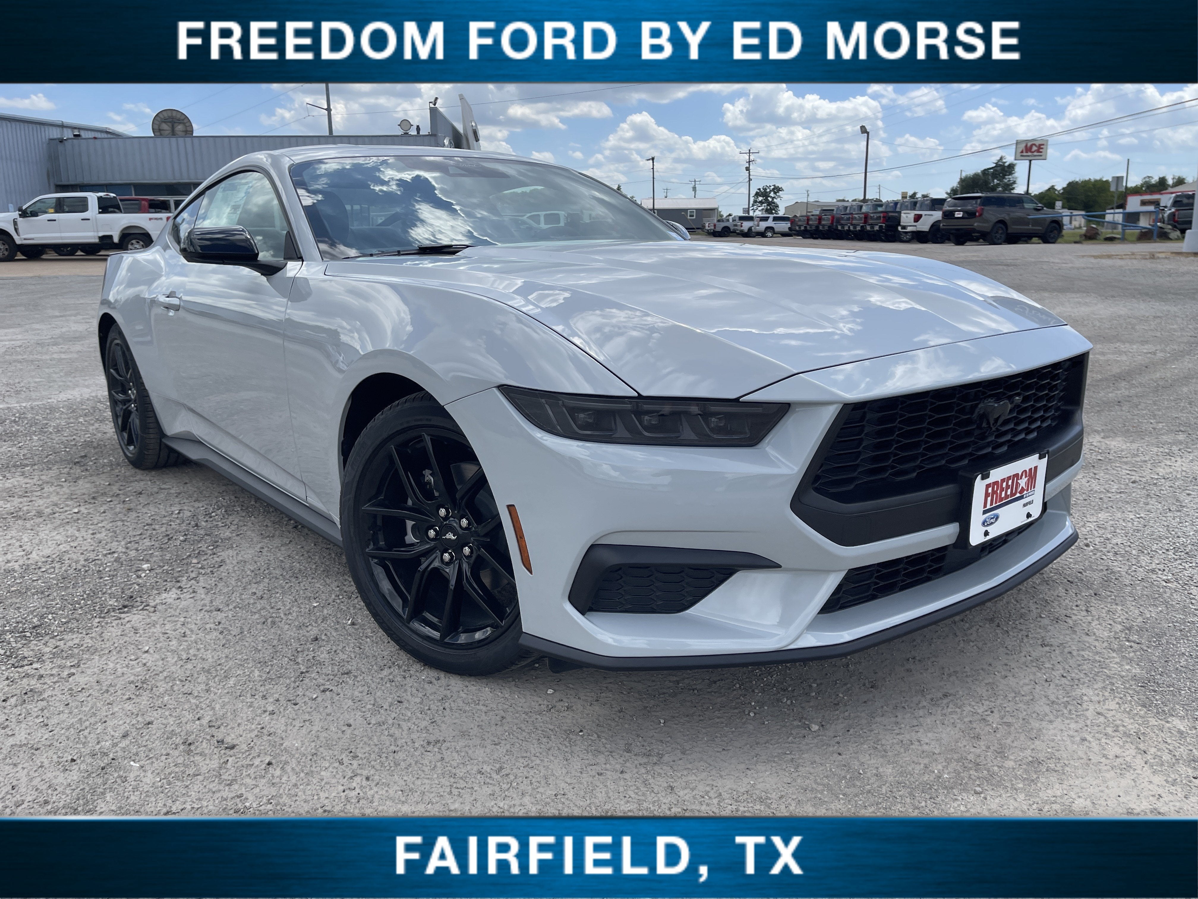 2026 Ford Mustang EcoBoost Premium in Avalanche Gray — front three-quarter view