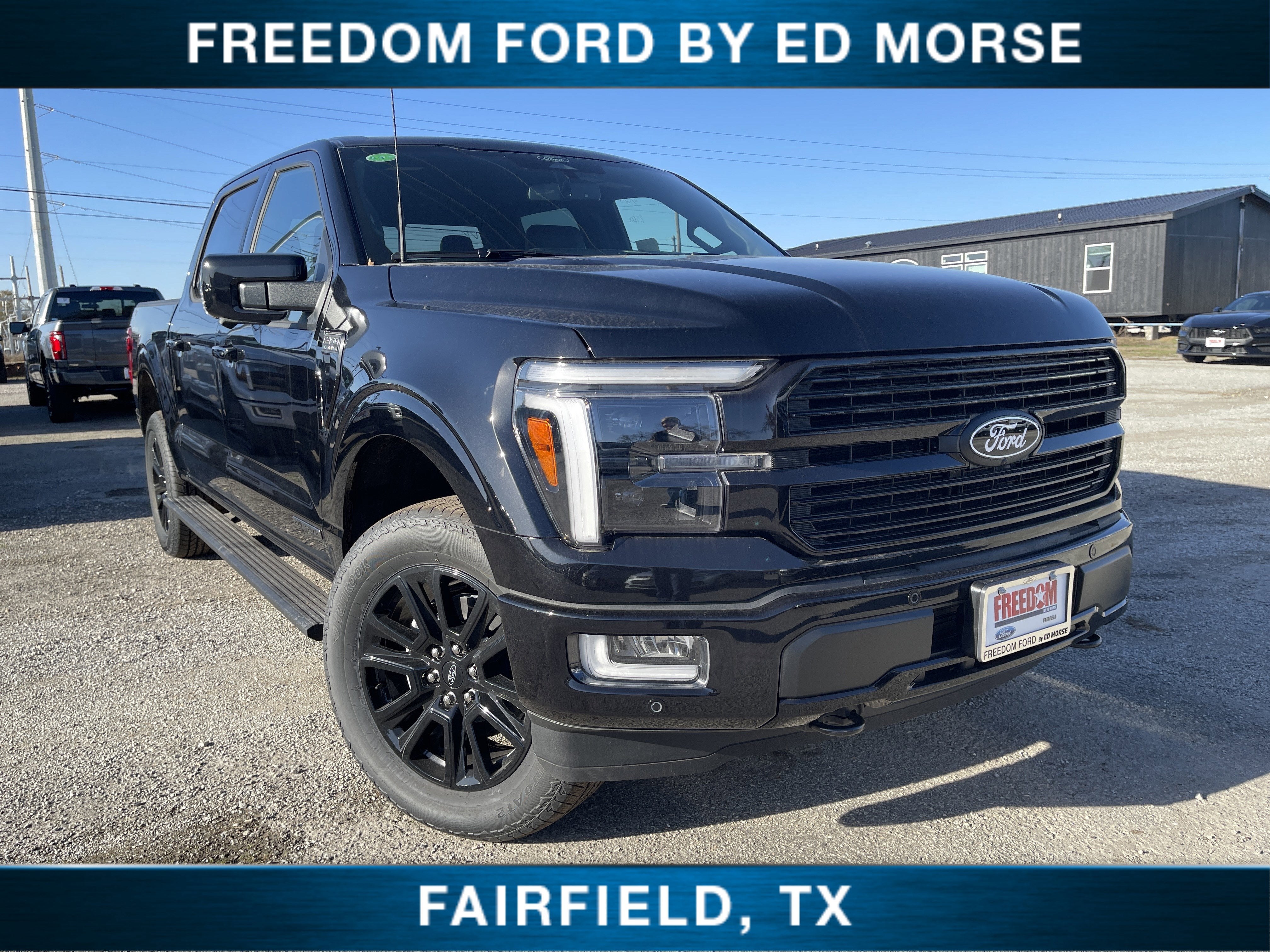 2025 Ford F-150 Platinum in Black Metallic — front three-quarter view